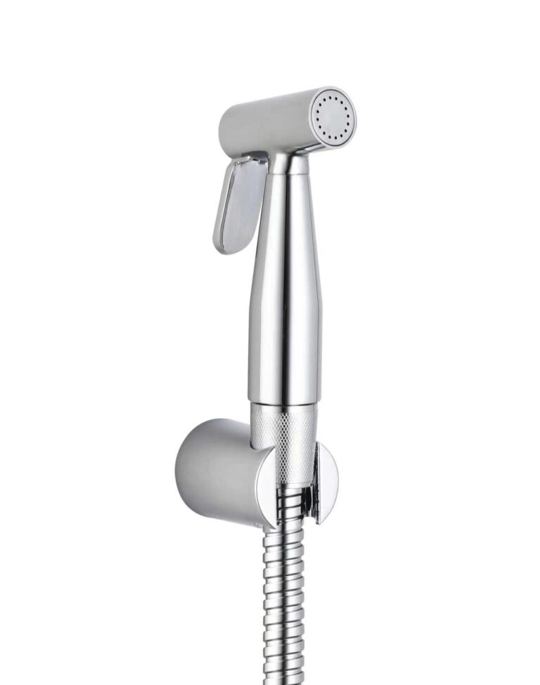 DS-851